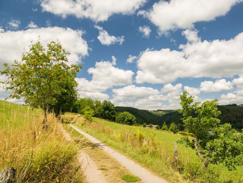 Eifelsteigweg 