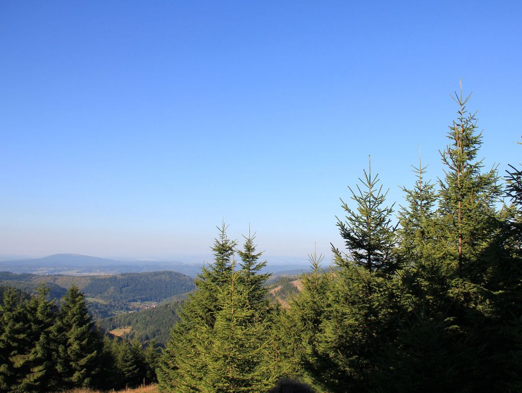 Rennsteig Weg Ausblick