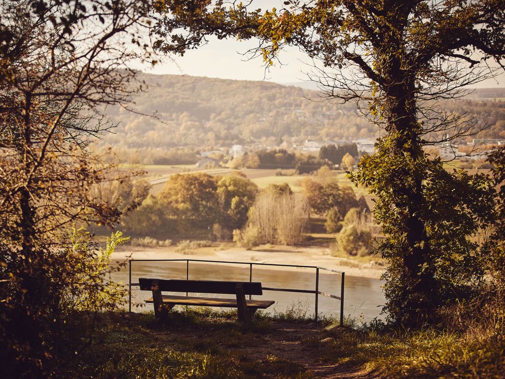 Rheinsteig Ausblick