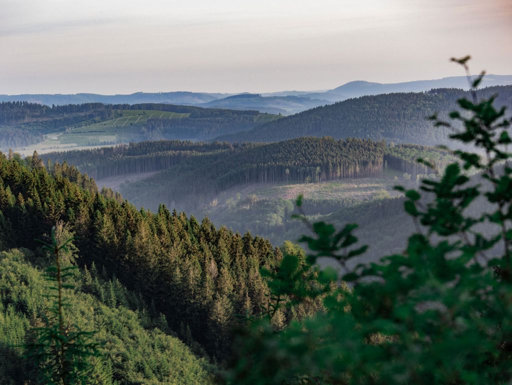 Ausblick Rothaarsteig