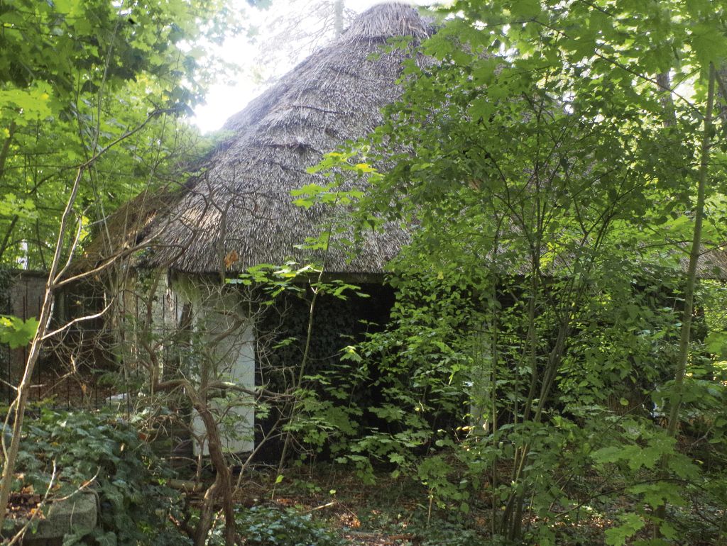 Haus auf einem verwildertem Grundstück